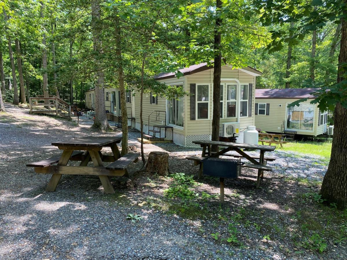 The Vintage Rv'S At Wilderness Presidential Camp Resort By Tripforth Spotsylvania Ngoại thất bức ảnh